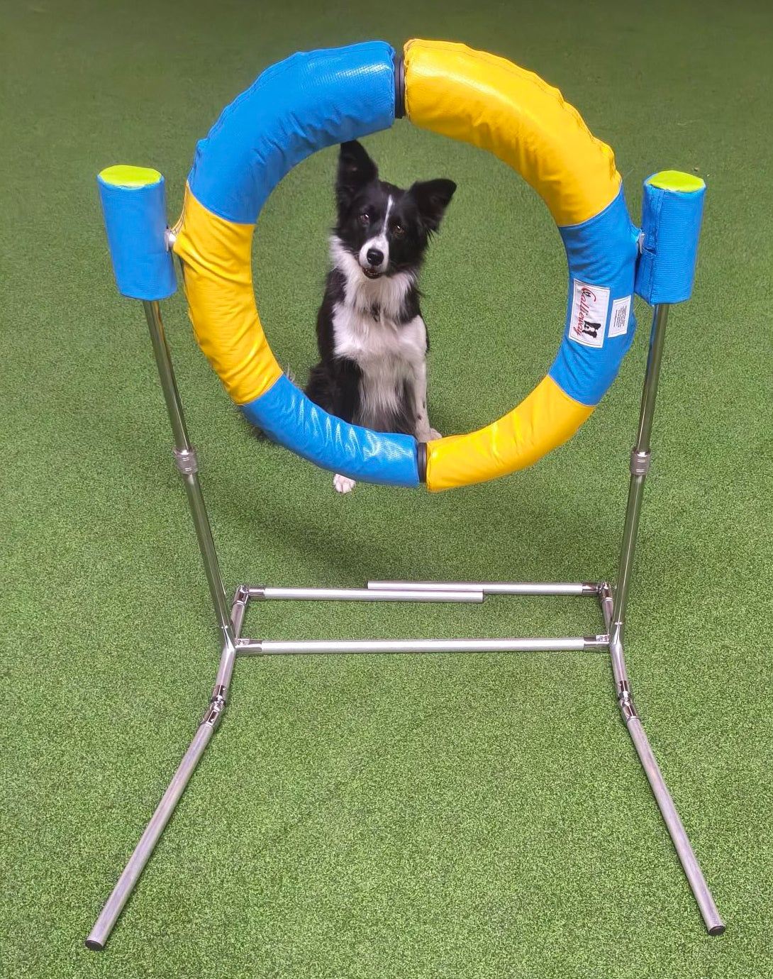 Callieway® „Bounce-O-Tyre Safetysoft FUN 45cmØ“ – Klappbarer Agility Reifen für sicheres Hundetraining