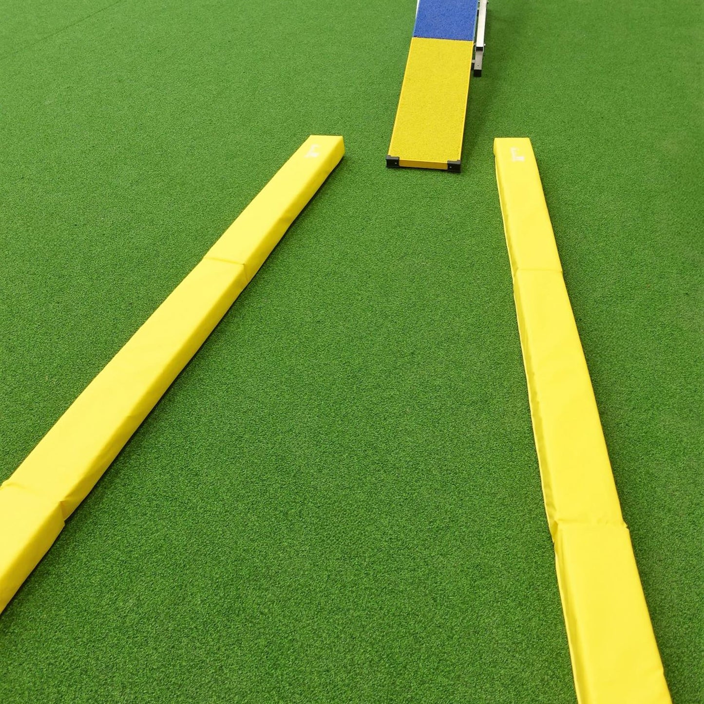 Callieway Runway Bodenarbeits Bahn im Hundetraining