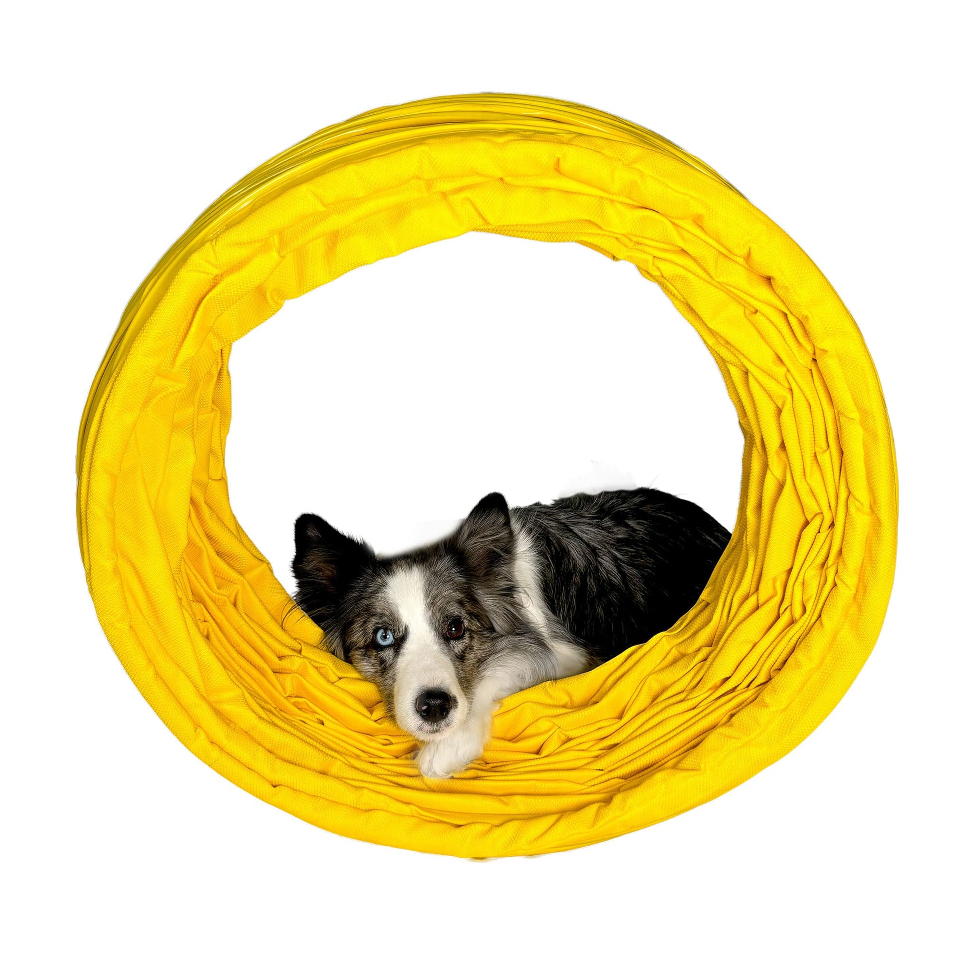 Innenansicht eines Callieway FullGrip Agility Tunnels Gelb