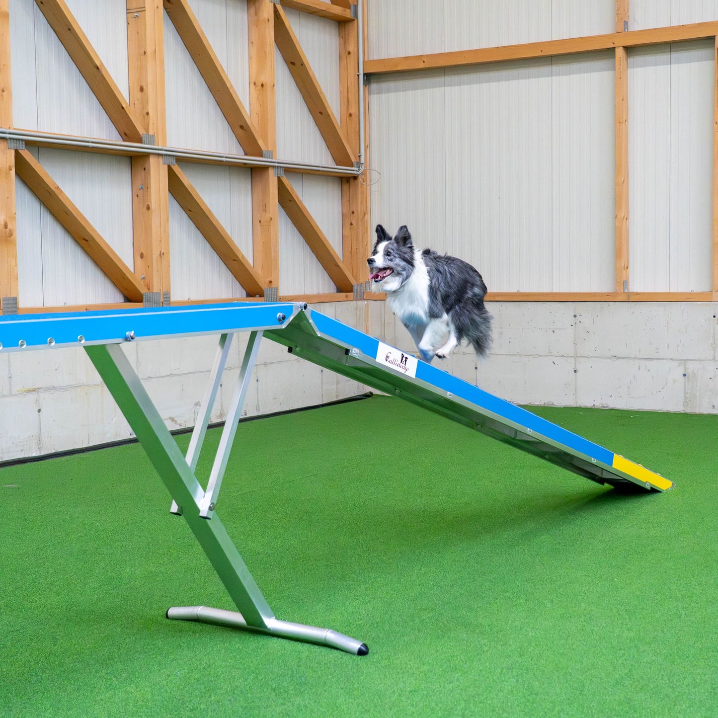 Metal frame structure of Callieway dog agility dogwalk for stability
