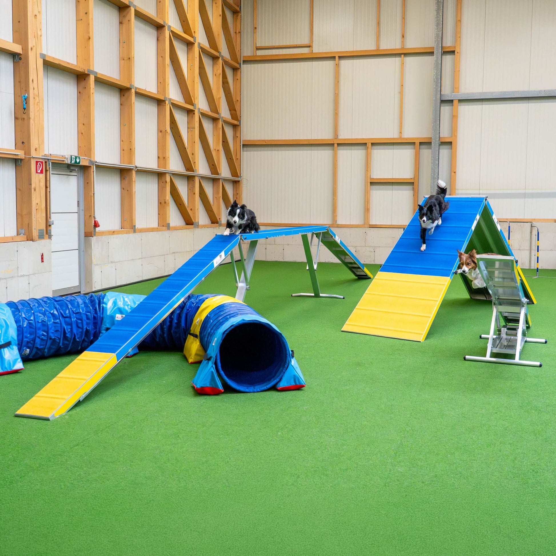 Angled view of Callieway dogwalk showing ramps and center plank