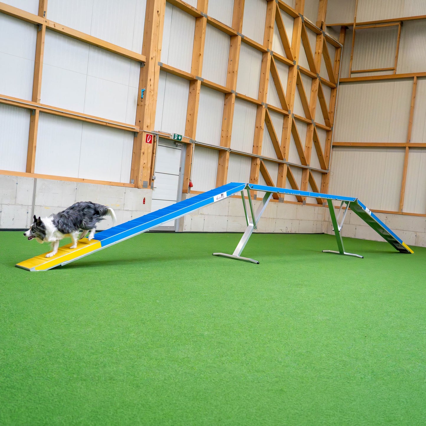 Wide angle view of Callieway dogwalk in indoor agility environment