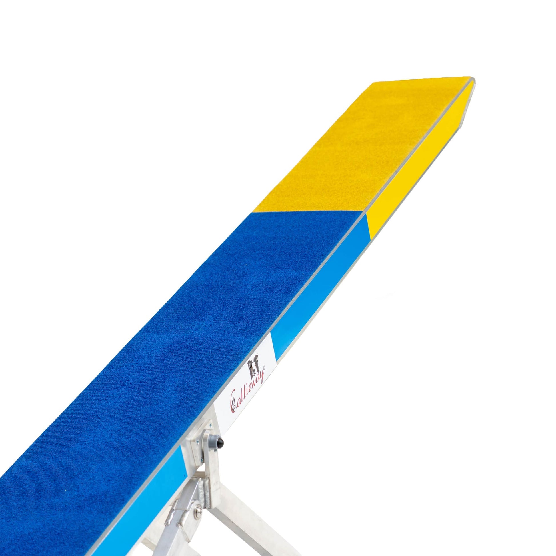 Dog standing on contact zone of Callieway agility seesaw