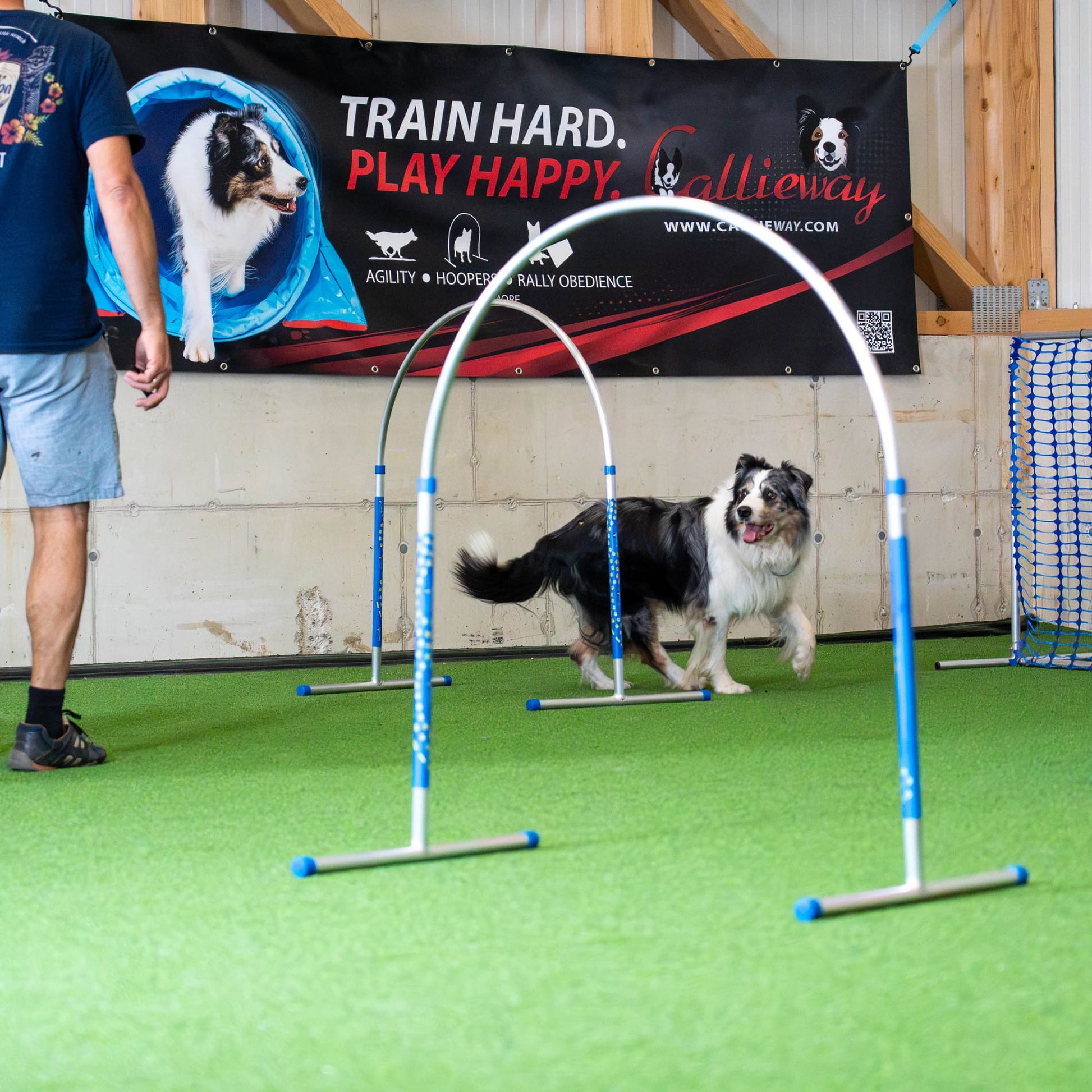 callieway cerchio per dog hooper in alluminio conforme al regolamento FCI per tornei