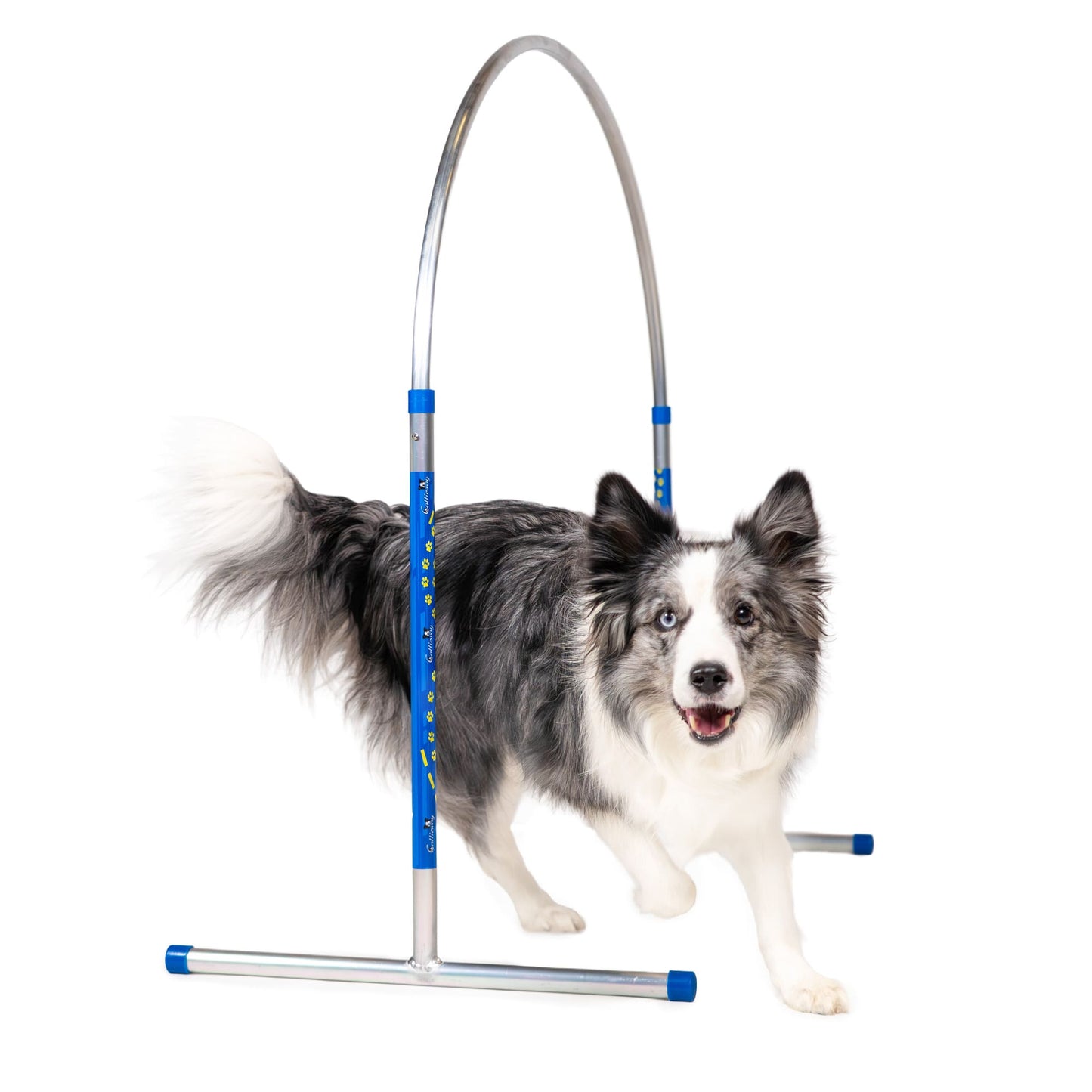 Callieway ALU Hoop disassembled and laid flat showing the aluminum arc and blue crossbar components