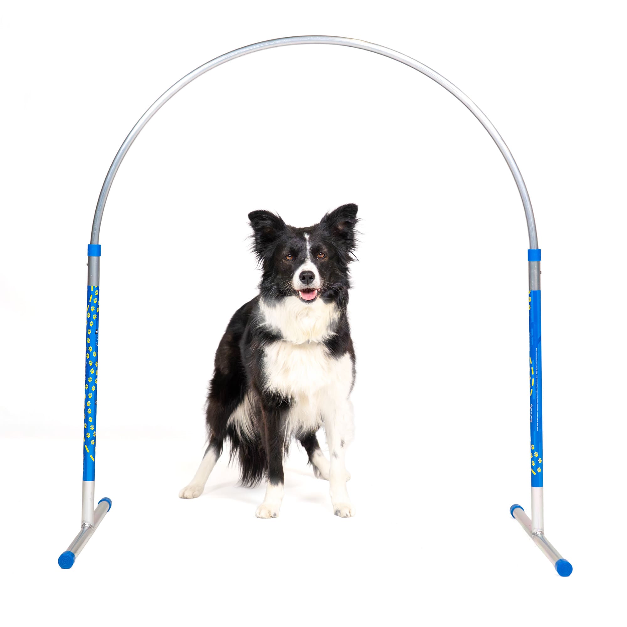 Close front view of Callieway ALU Hoop with Border Collie centered under the aluminum arc