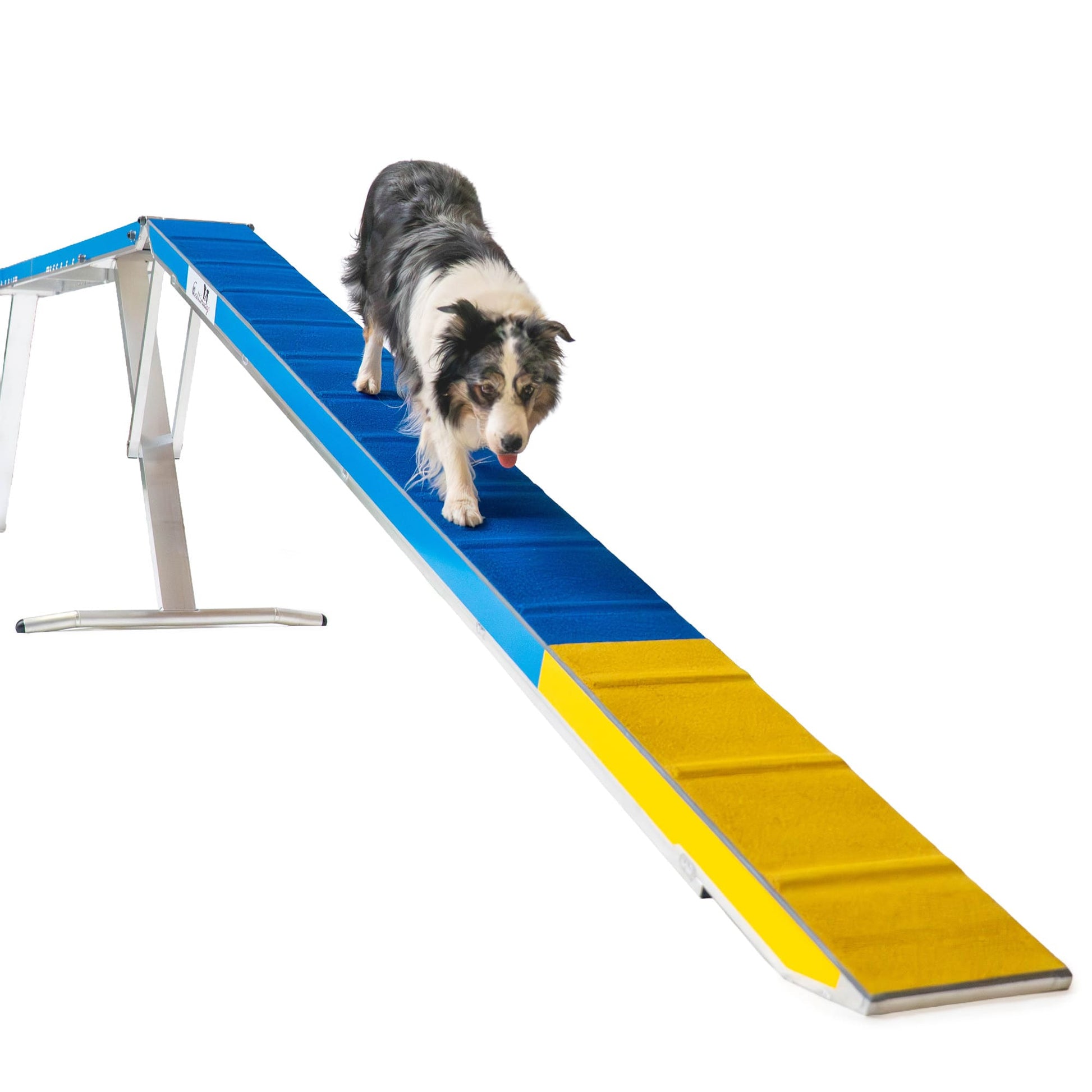Dog descending Callieway dogwalk ramp during agility training