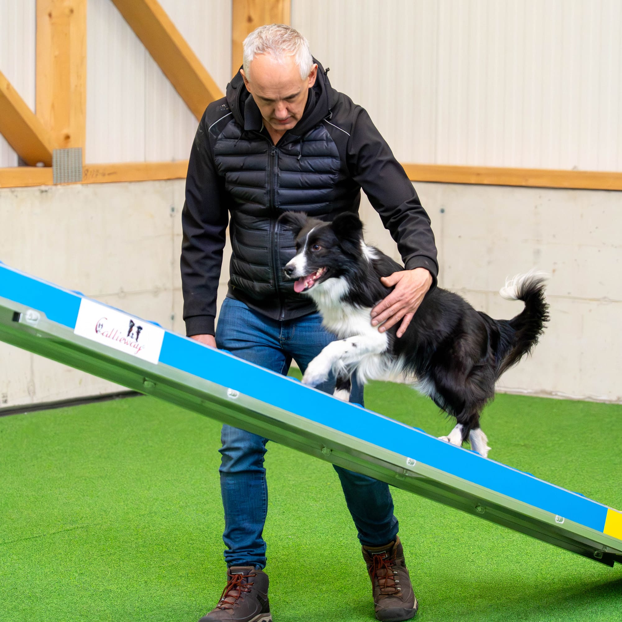 Dog training on Callieway dogwalk obstacle during agility session