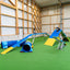 Dog performing agility exercise on Callieway dogwalk equipment