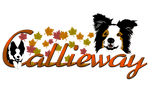 Callieway logo with autumn design featuring seasonal colors and dog agility