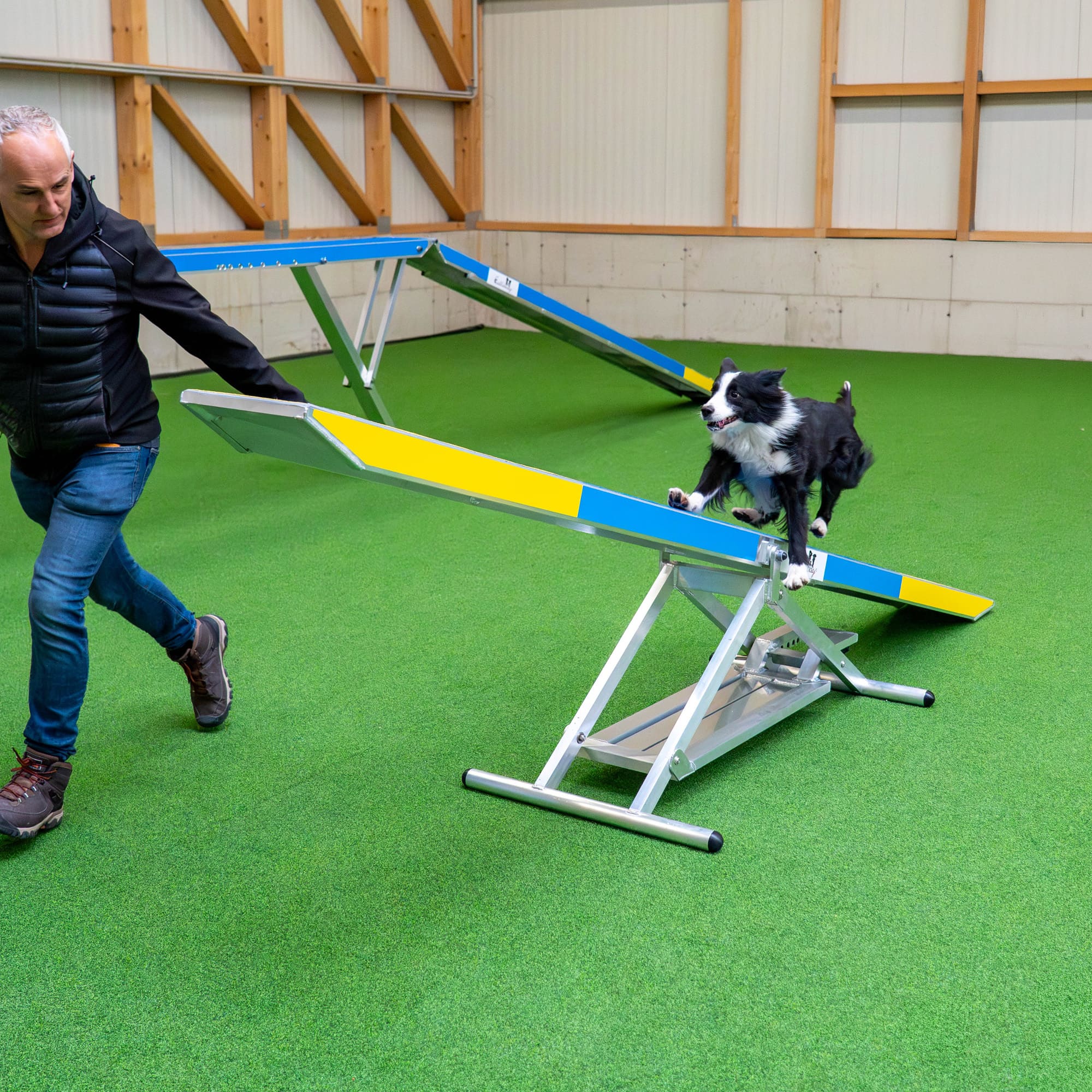 Full view of Callieway dog agility seesaw in yellow and blue design