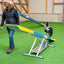 Dog performing agility teeter exercise on Callieway seesaw equipment