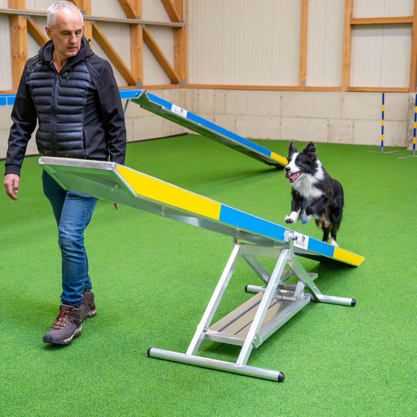 Dog performing agility teeter exercise on Callieway seesaw equipment