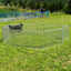 Callieway 65 cm dog playpen set up on a grassy field for puppies and small dogs.