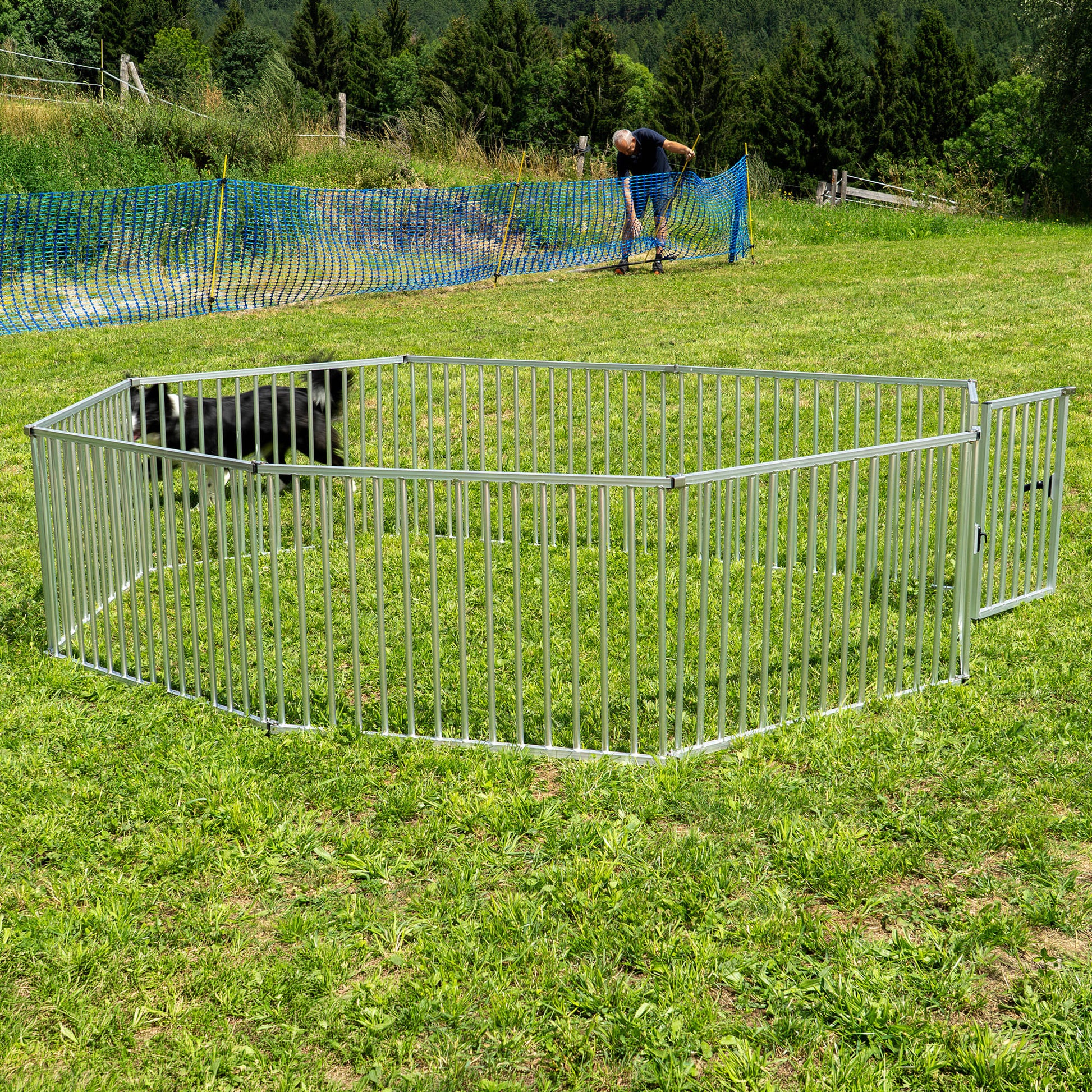 Callieway 65 cm dog playpen set up on a grassy field for puppies and small dogs.