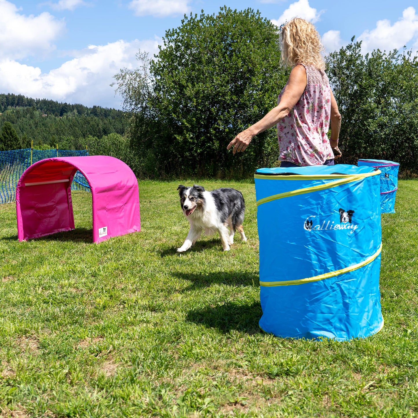 Blue Callieway Hoopers barrel set up on an outdoor Hoopers training course.