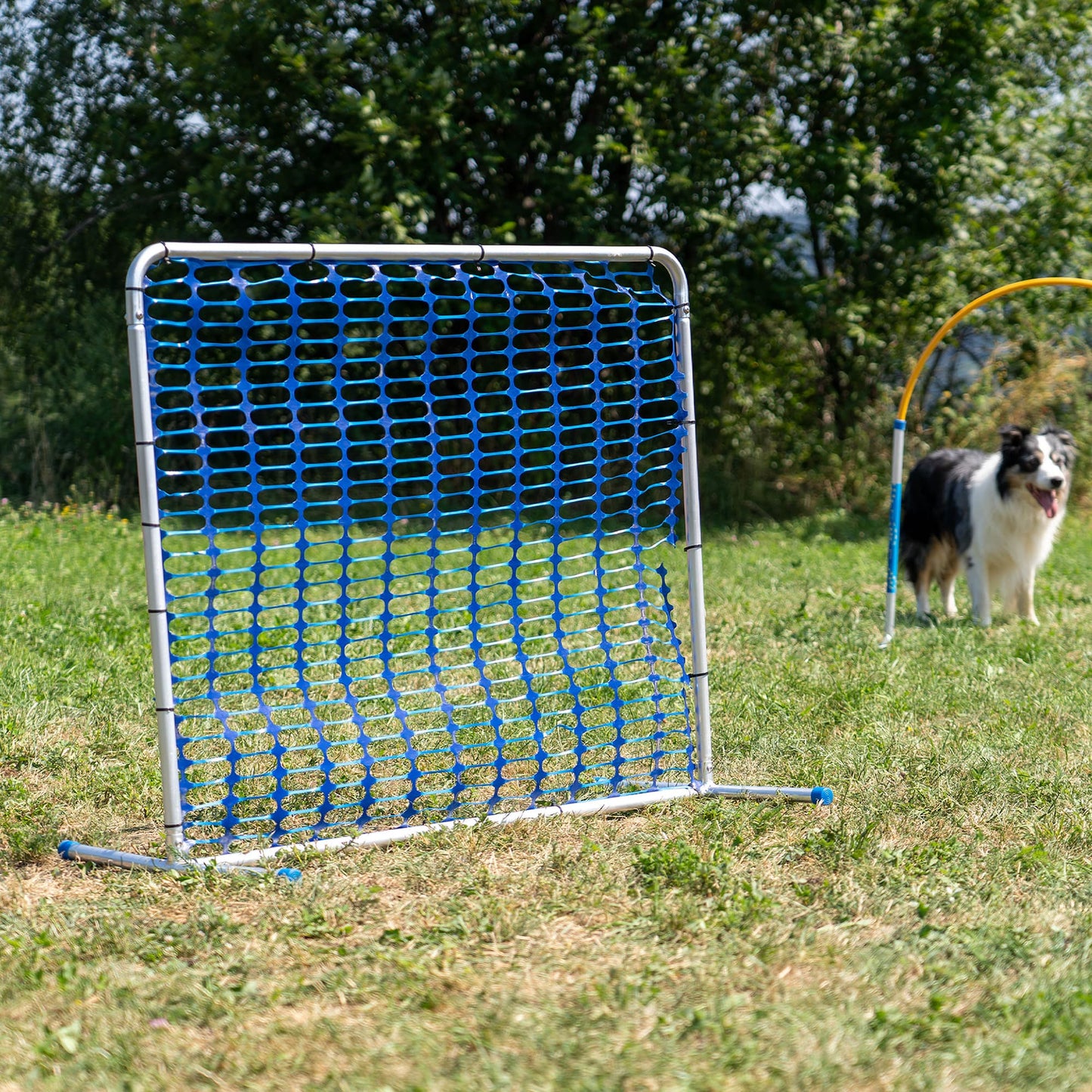 Blue Callieway Hoopers Barrel Gate obstacle on an outdoor dog training course.