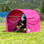 Front view of the Callieway pink Hoopers tunnel with a dog inside during agility training.