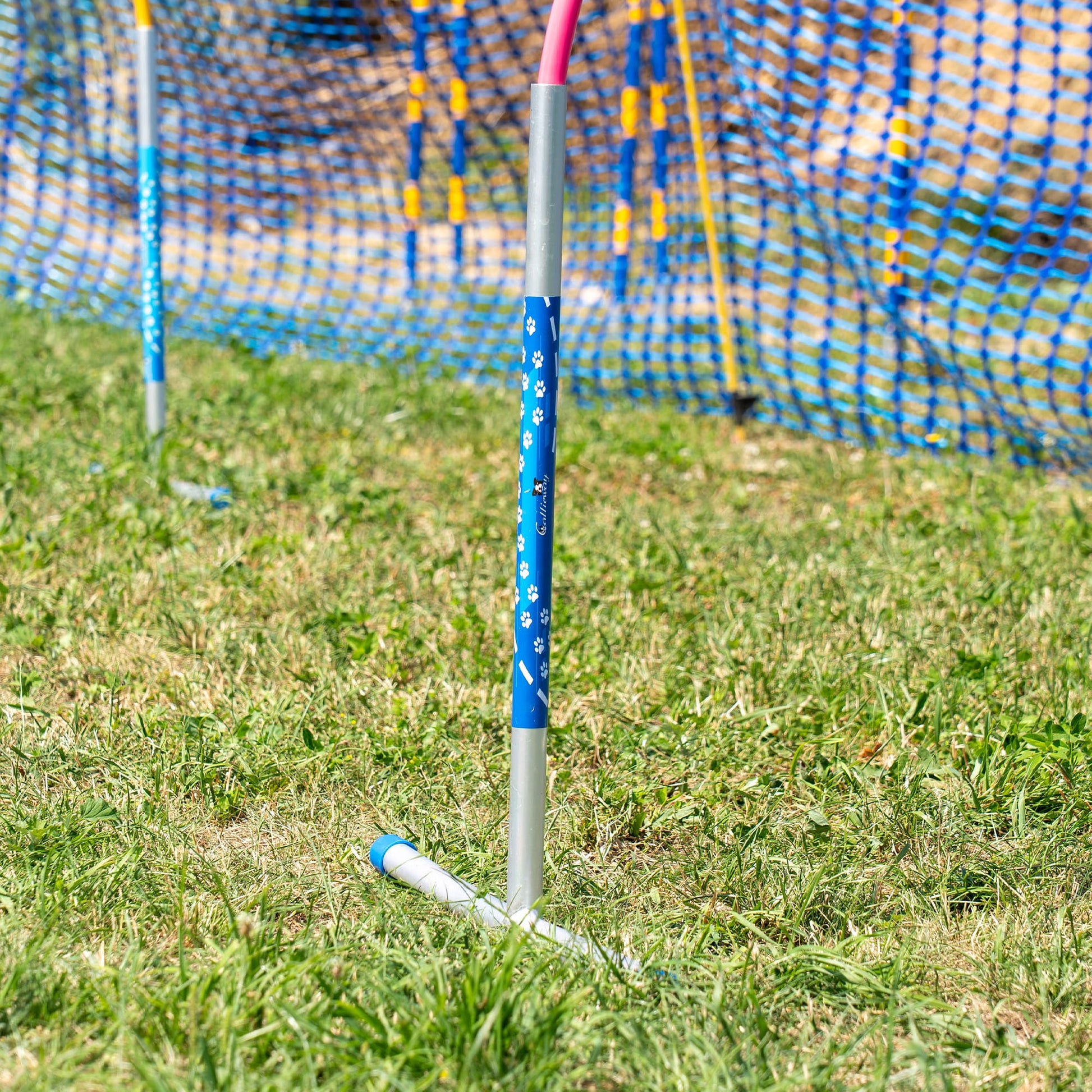 Side view of the pink Callieway ALU Hoopers Hoop obstacle for dog sports.