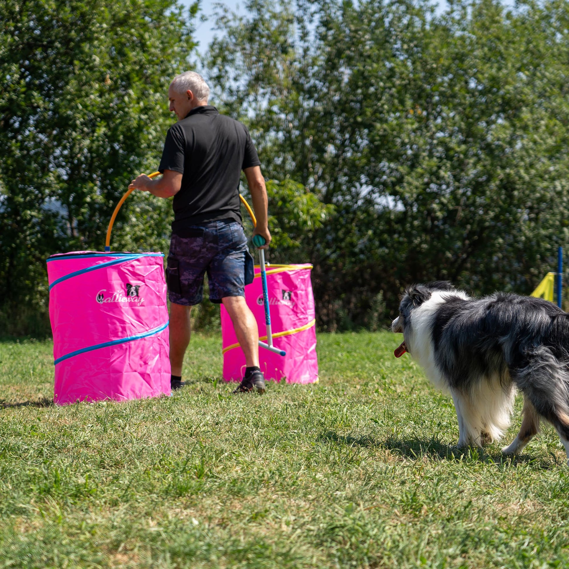 Dog navigating around the pink Callieway Hoopers Barrel during training.